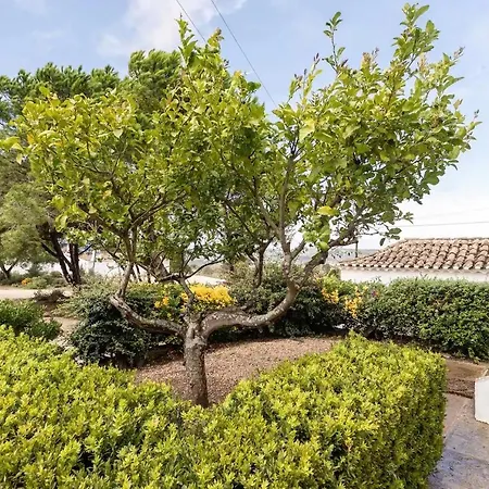 Quinta De Cima,no Campo E Assim بيت للعطل