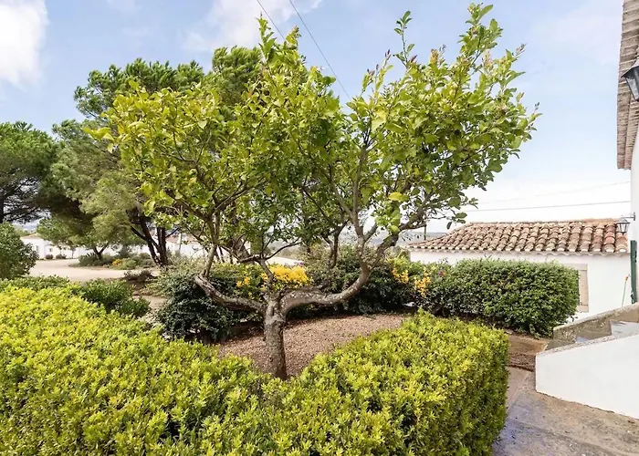 Quinta De Cima,no Campo E Assim Feriehus